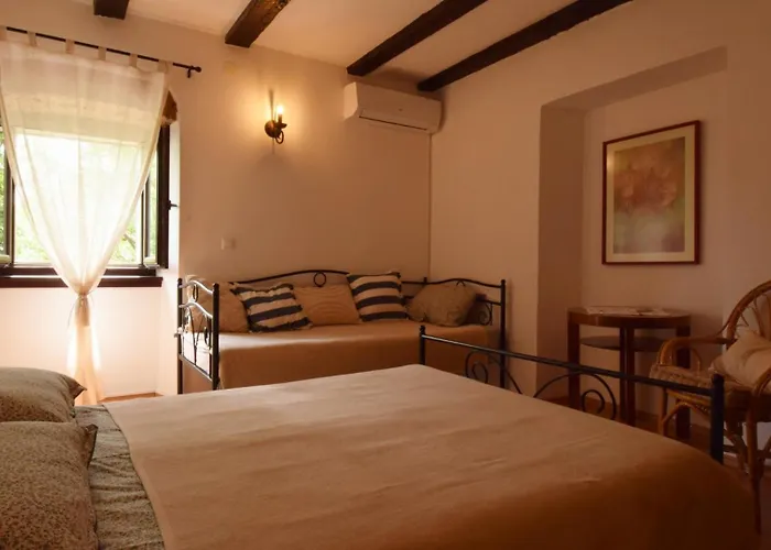 Leticia By Guide * クラリェヴィツァ